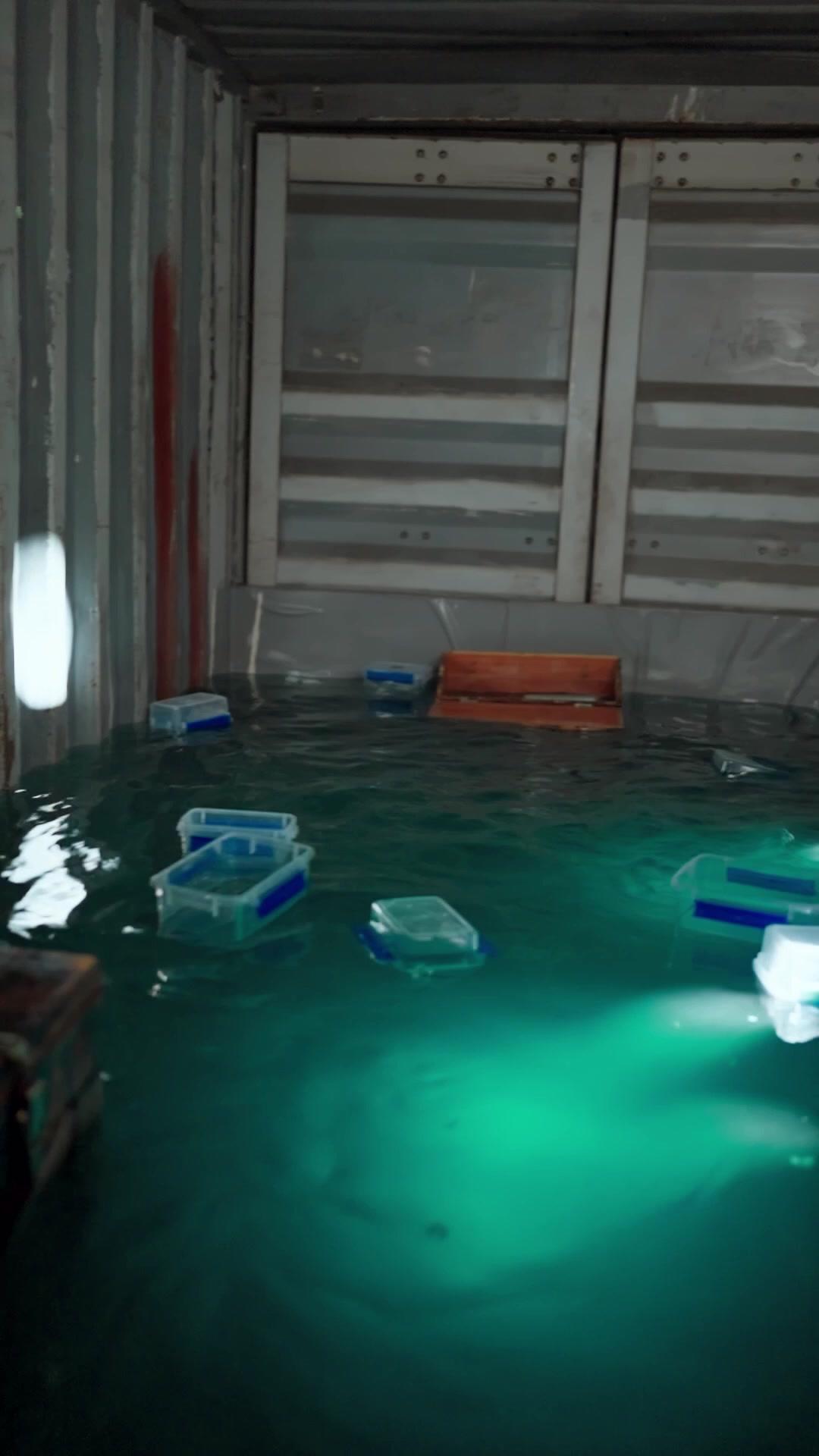 RENAÎTRE DES FLOTS