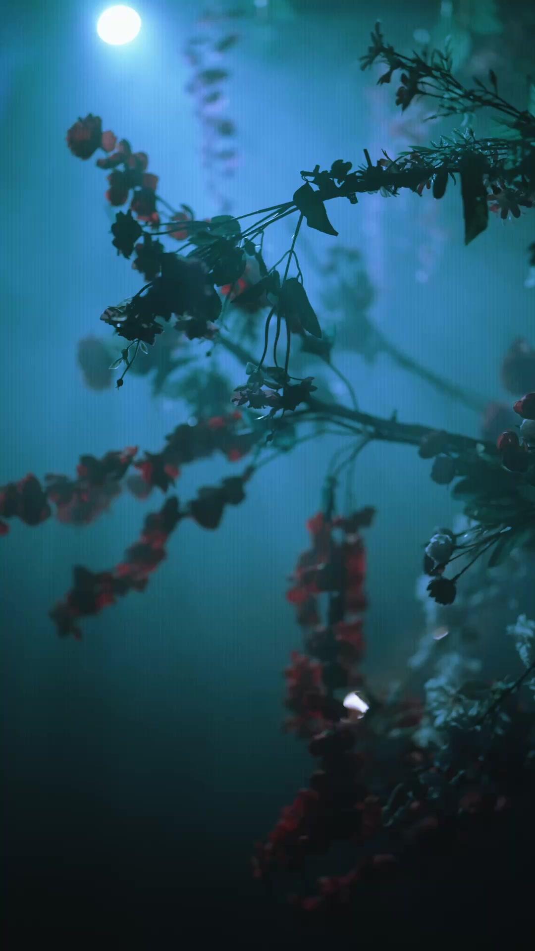 Fiori Caduti, Lacrime d’Odio