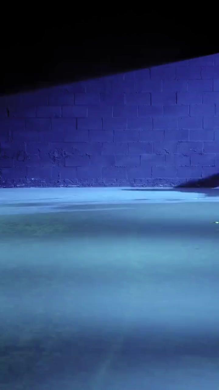 (Dubbed)The Little Pool God