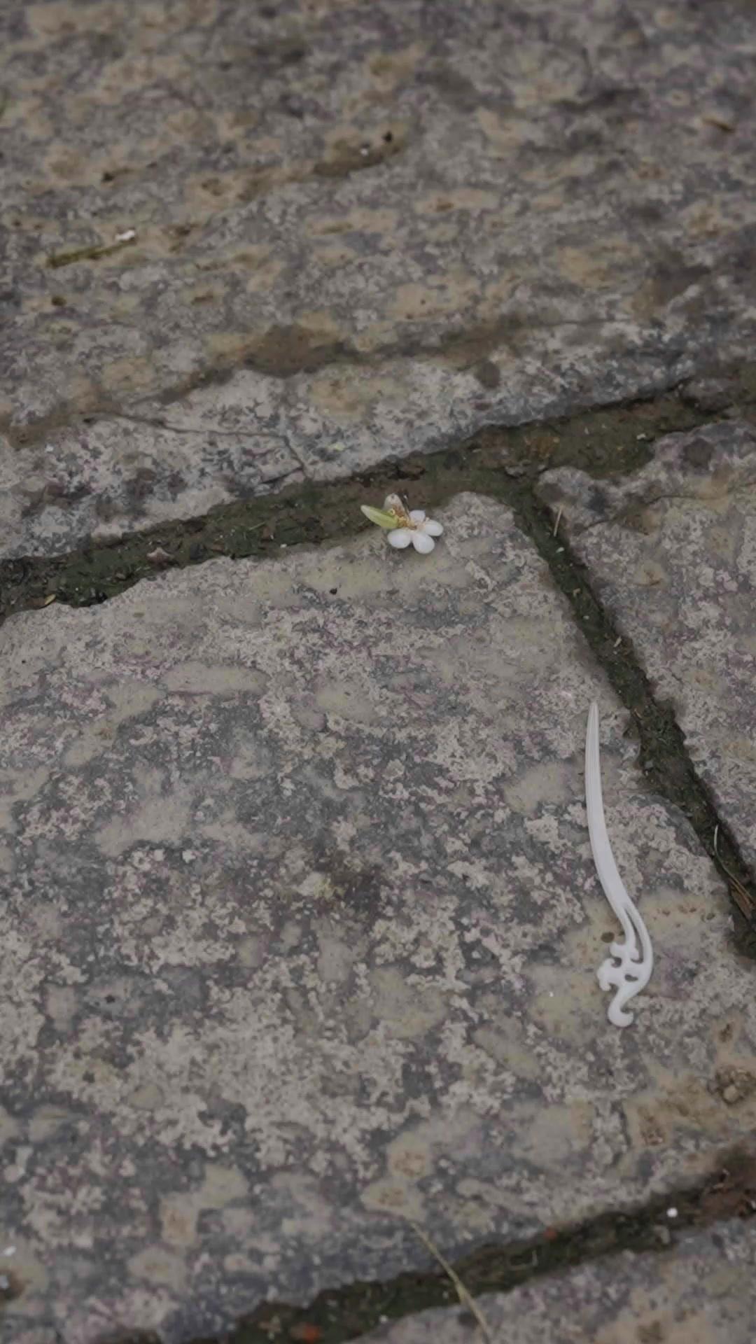Tahtı Sarsan Aşk