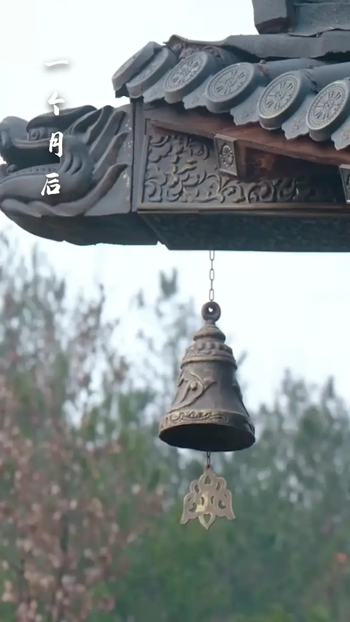 Episode 31