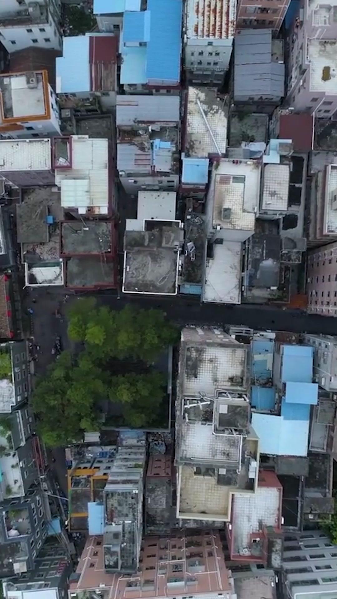 千金歸來：步步為營
