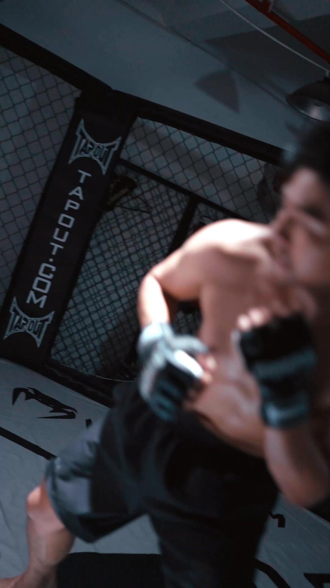 Raja Octagon