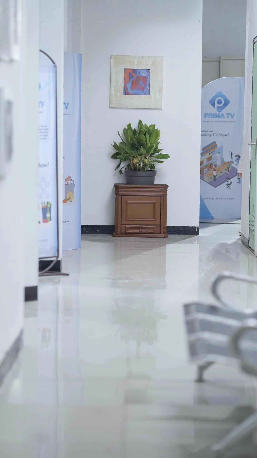 ITIK JADI ANGSA