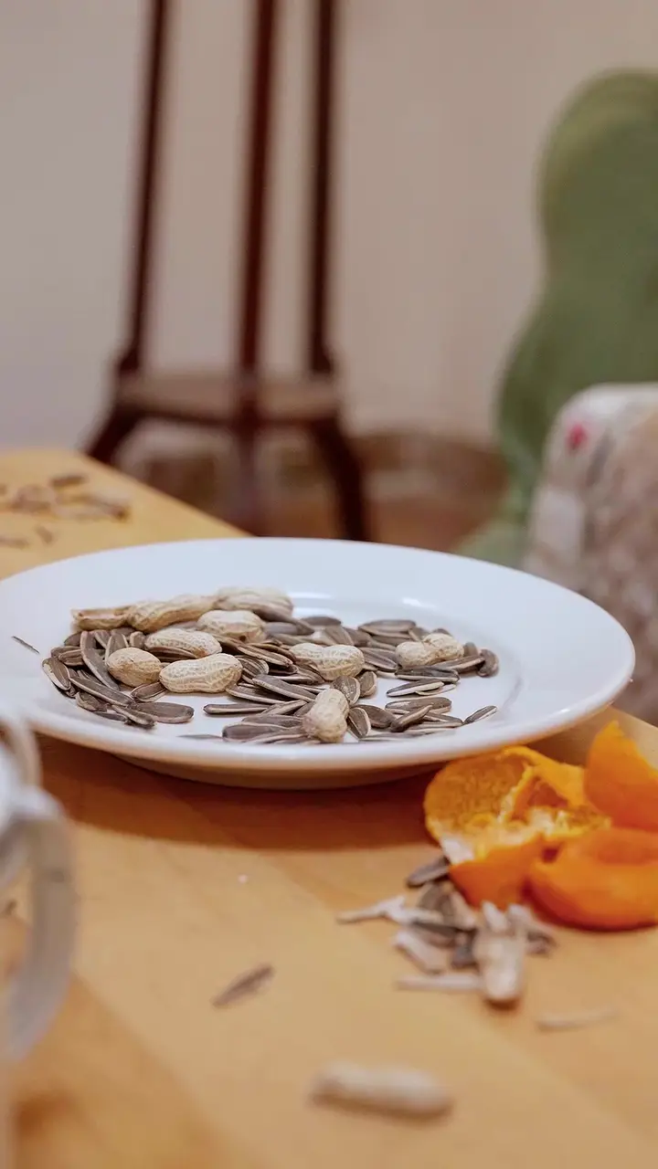 Gelin ve Kayıp Haklar Bölüm 33