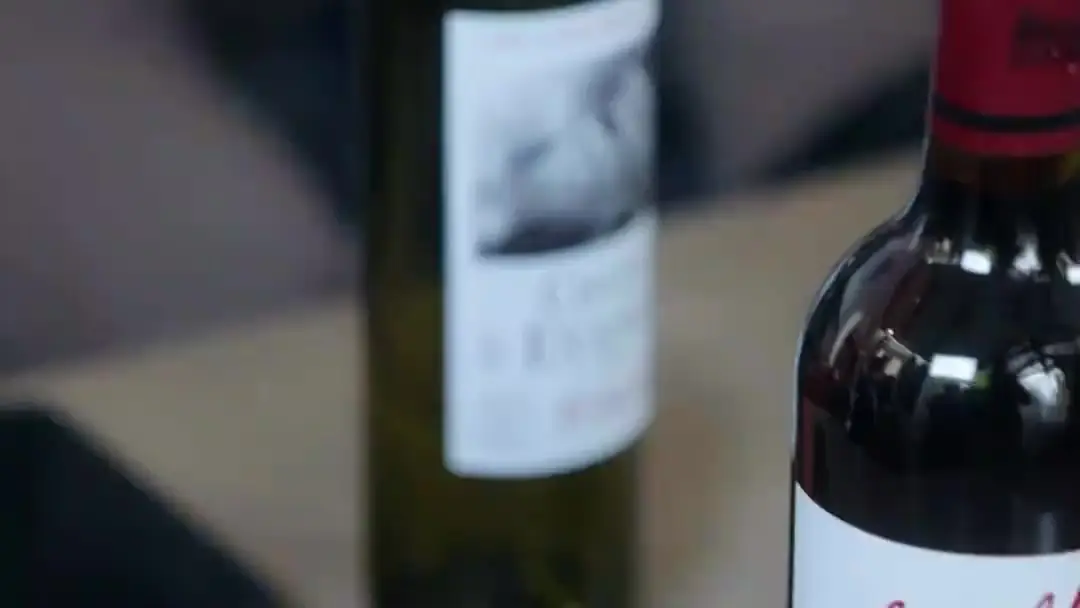 Reborn to Destroy My Family: The Wine Glass That Shattered a Lie