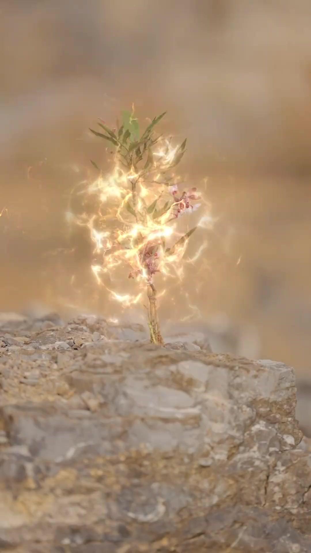 Phoenix yang Terkurung
