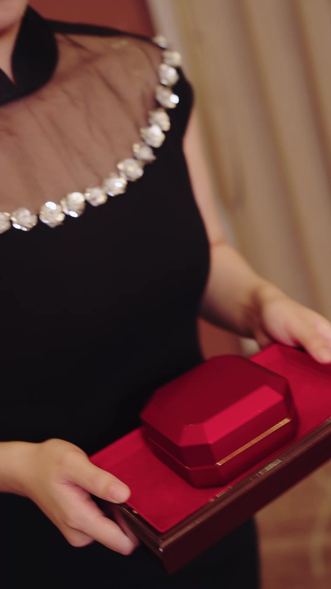 Oops, I Married a Billionaire Maid