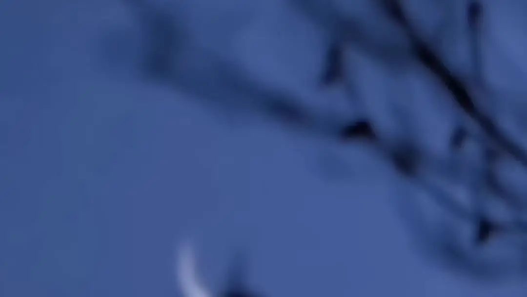 A lua crescente e o sangue no chão