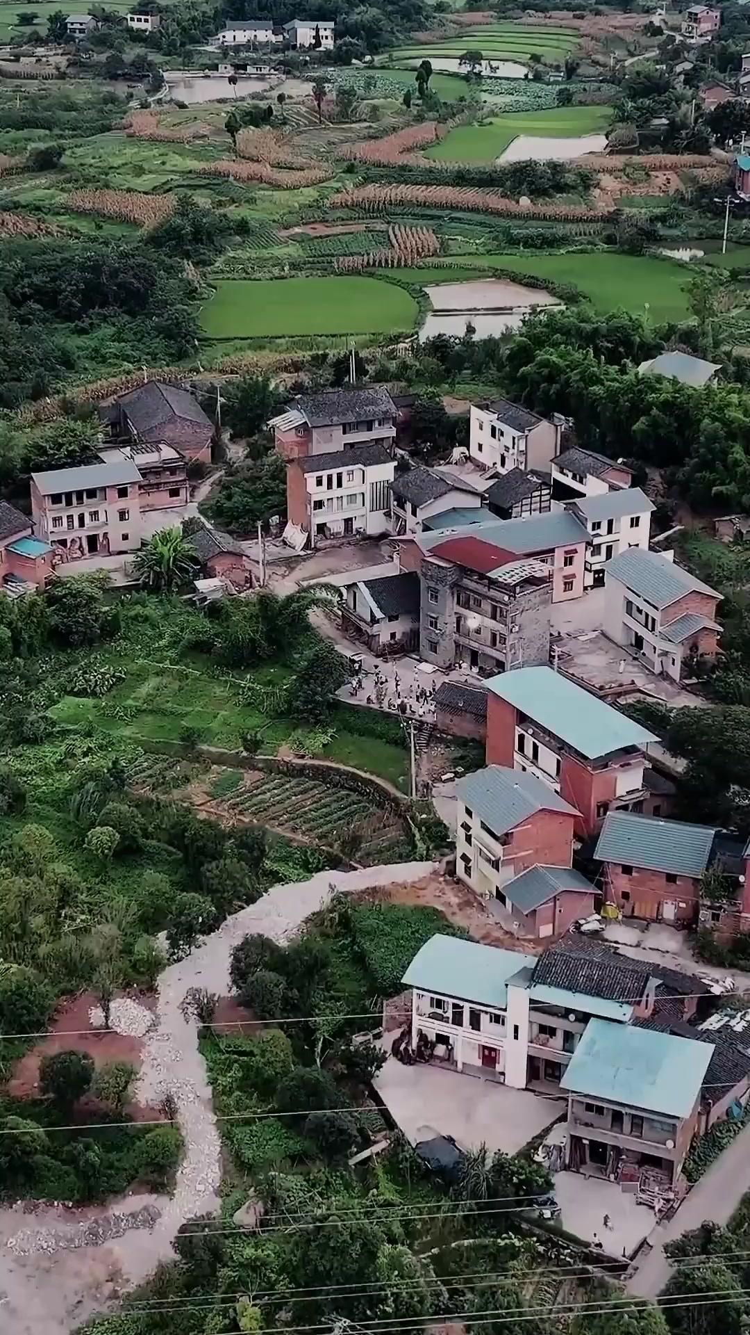 Kayıp Aşkın İzinde