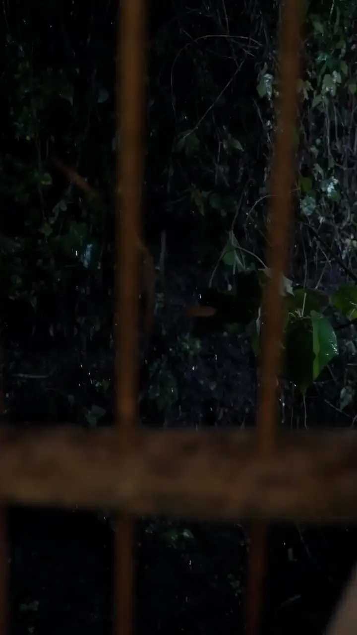 The Goddess of War Episode 1