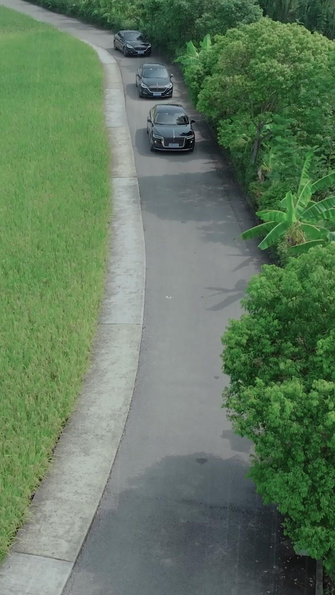 Rückkehr in den Schatten