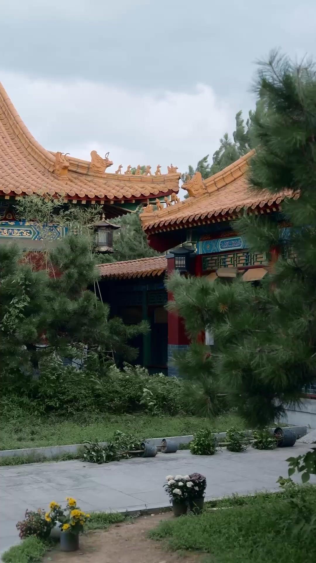 下僕皇帝