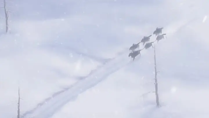 Episode 43
