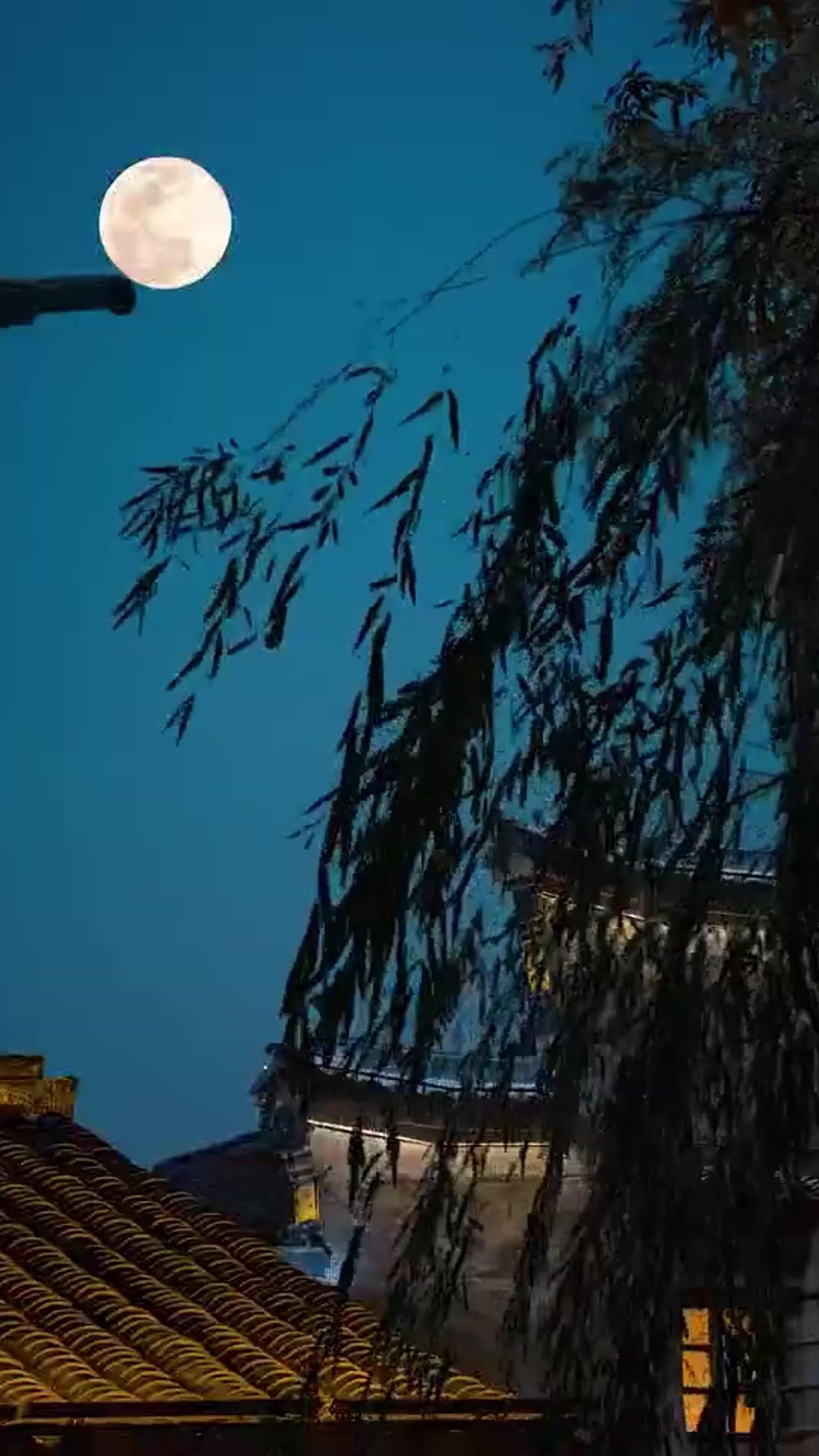 江湖父女檔，誰敢不服？