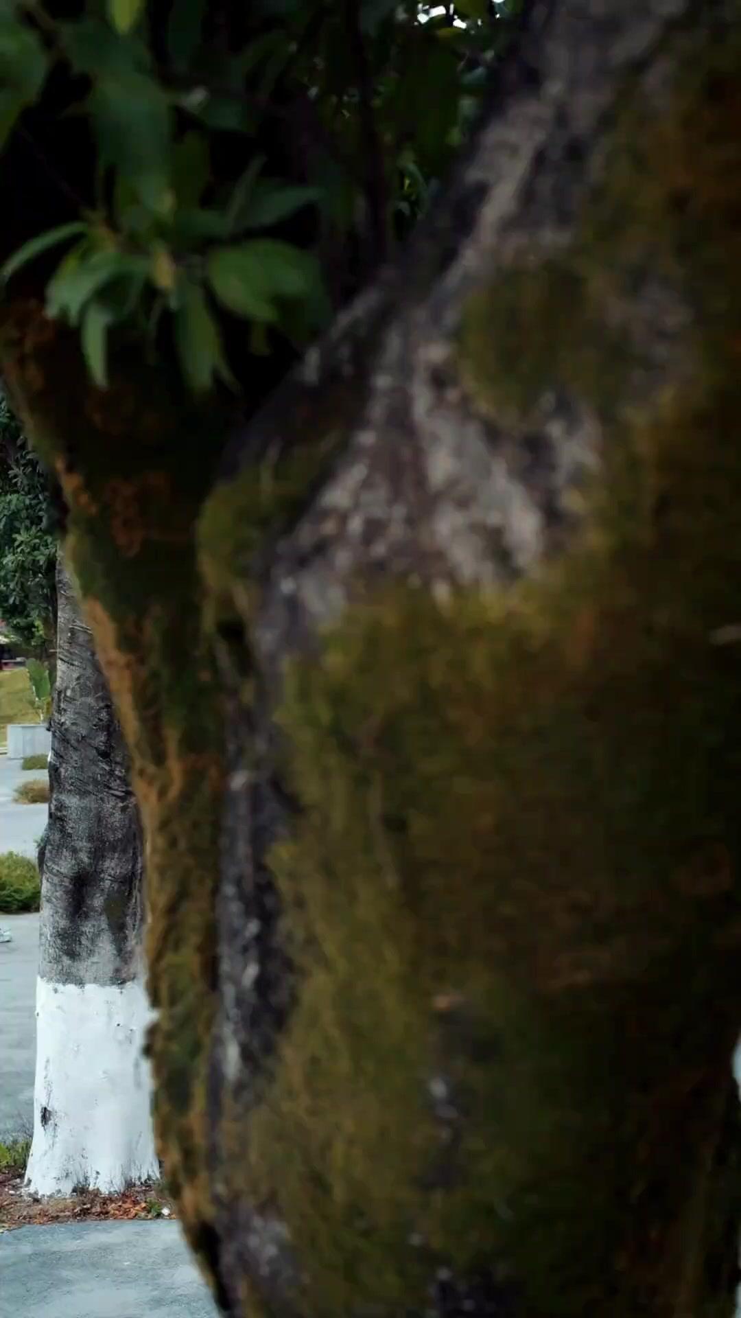 偽りの婿が全てを奪う前に ～会長、すべてを見抜く～