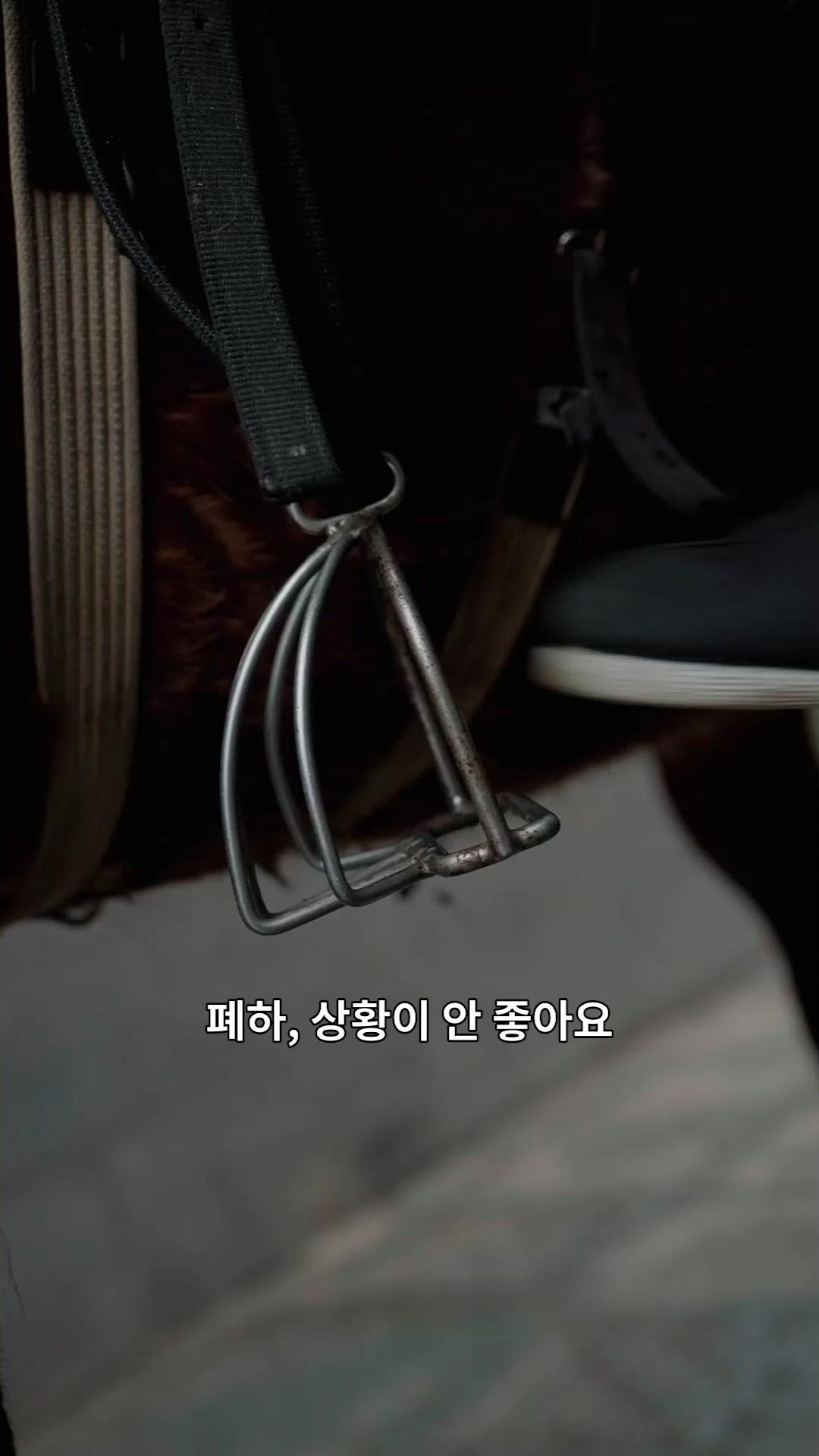 (더빙)봉황이 깃드는 곳