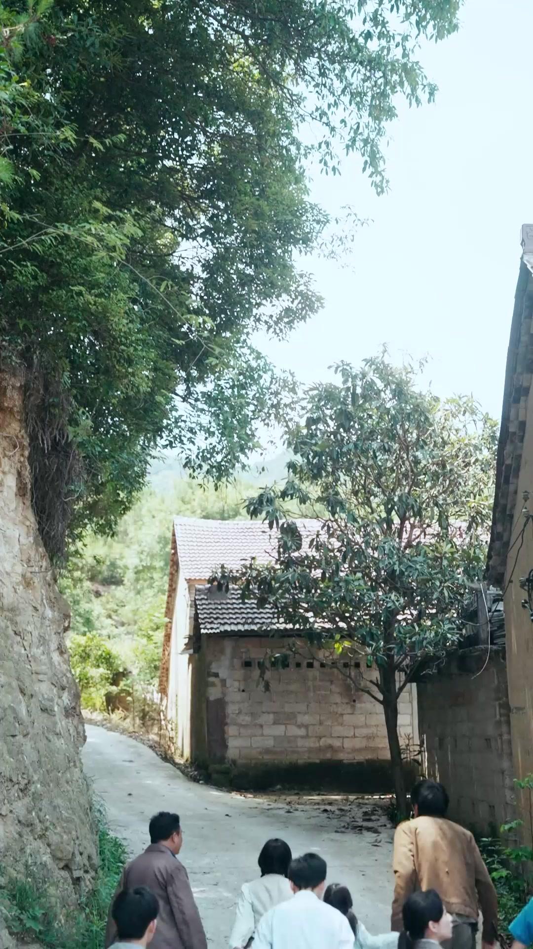 Ular Gergasi Makam Purba