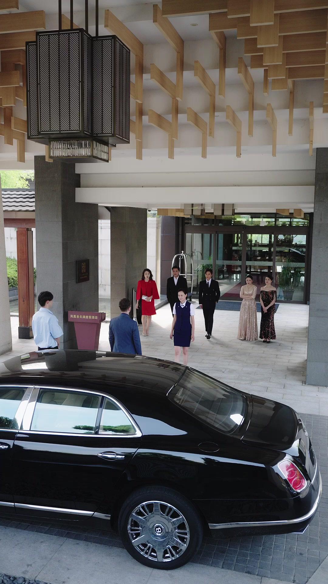 Oops, I Married a Billionaire Maid