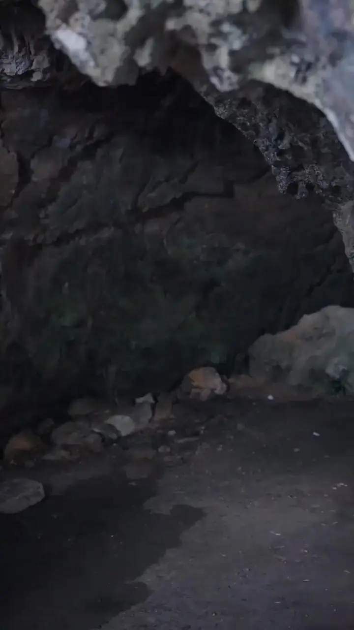 (Dublajlı) Köpekbalığı Adası Bölüm 39