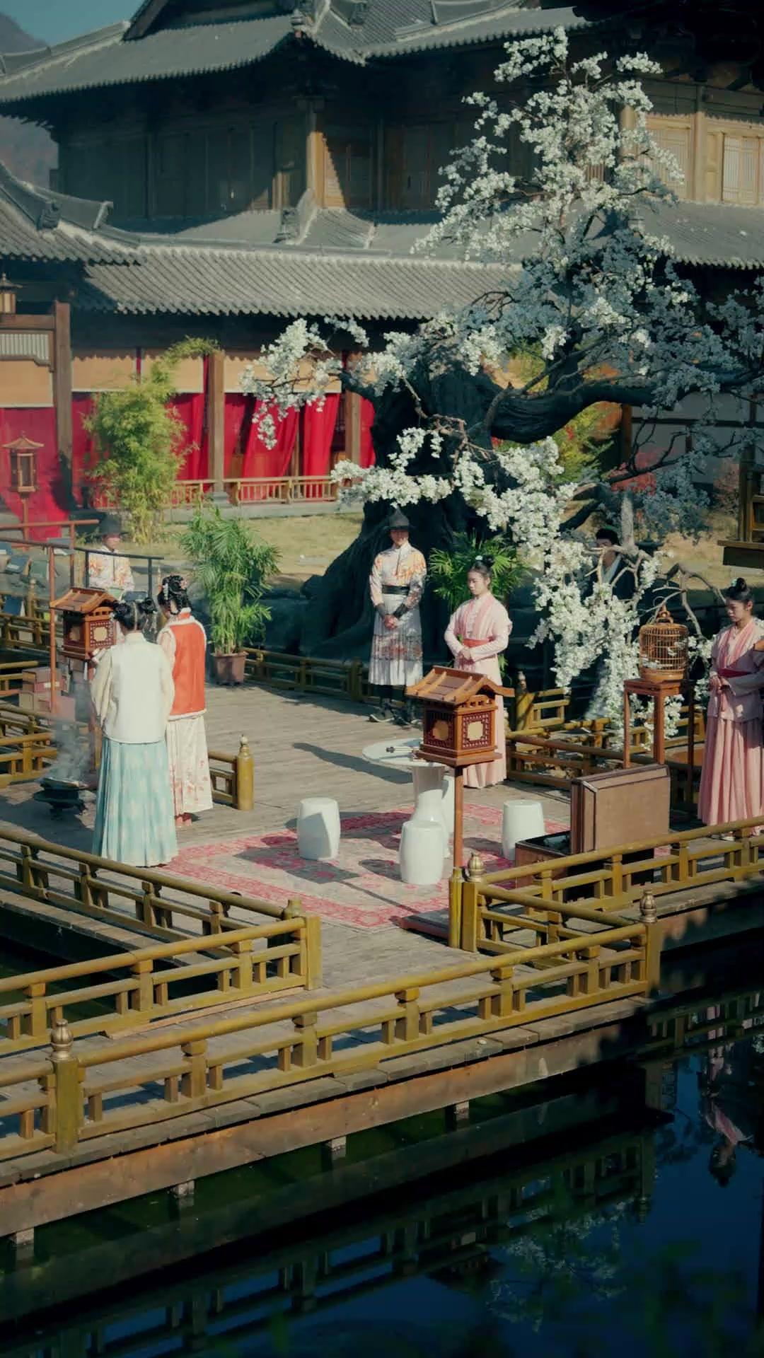 棄女青雲路