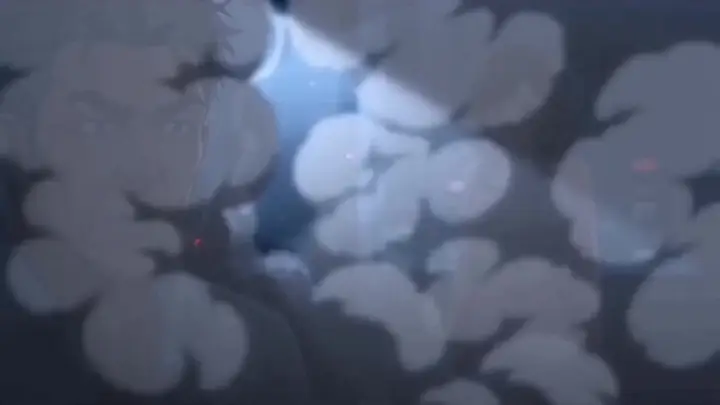 Episode 38