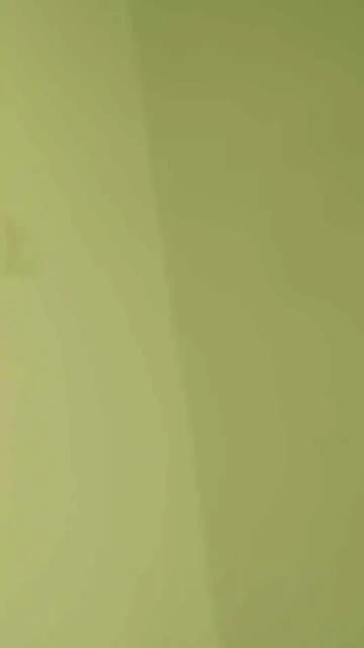 Onu Kışkırtmayın Bölüm 31