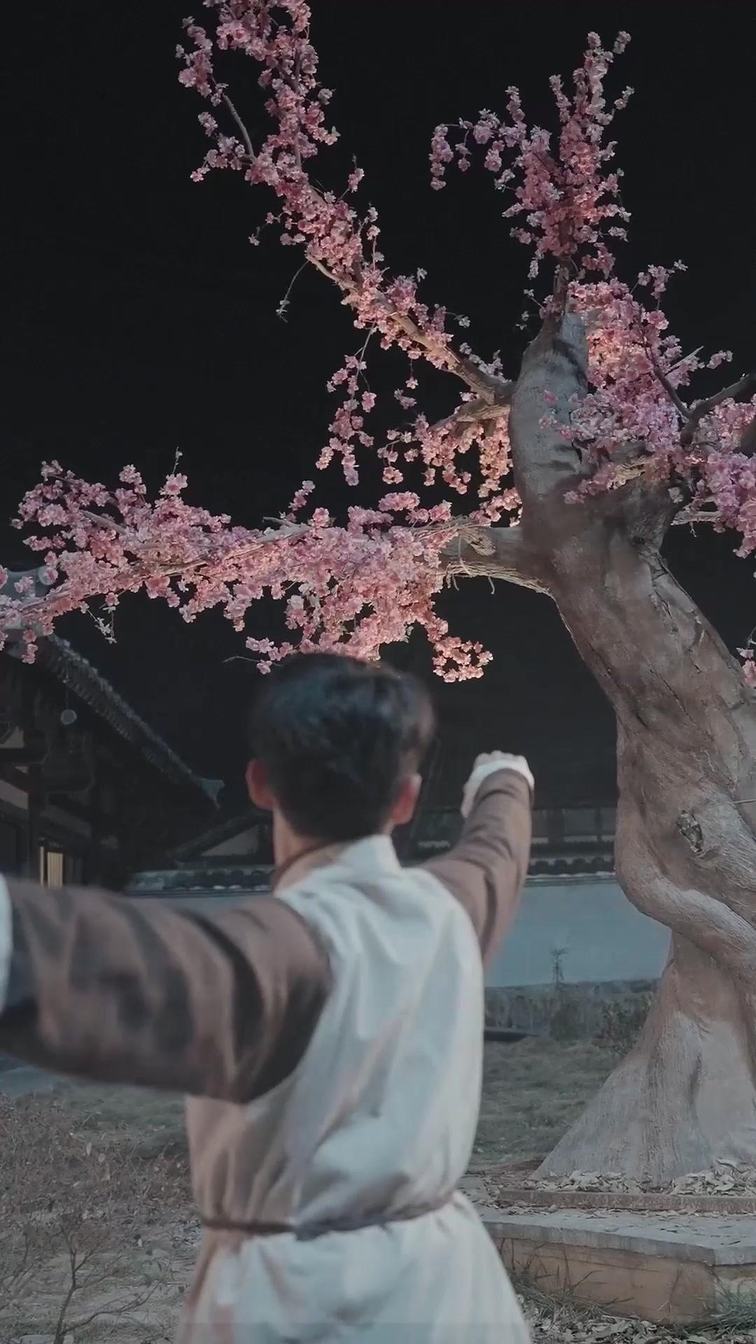 Heir of the Martial Arts: A Story of Love and Vengeance 
