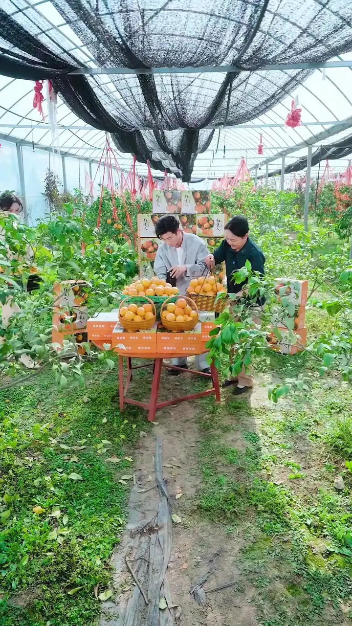 (Dublajlı) Gururun Bedeli Bölüm 50