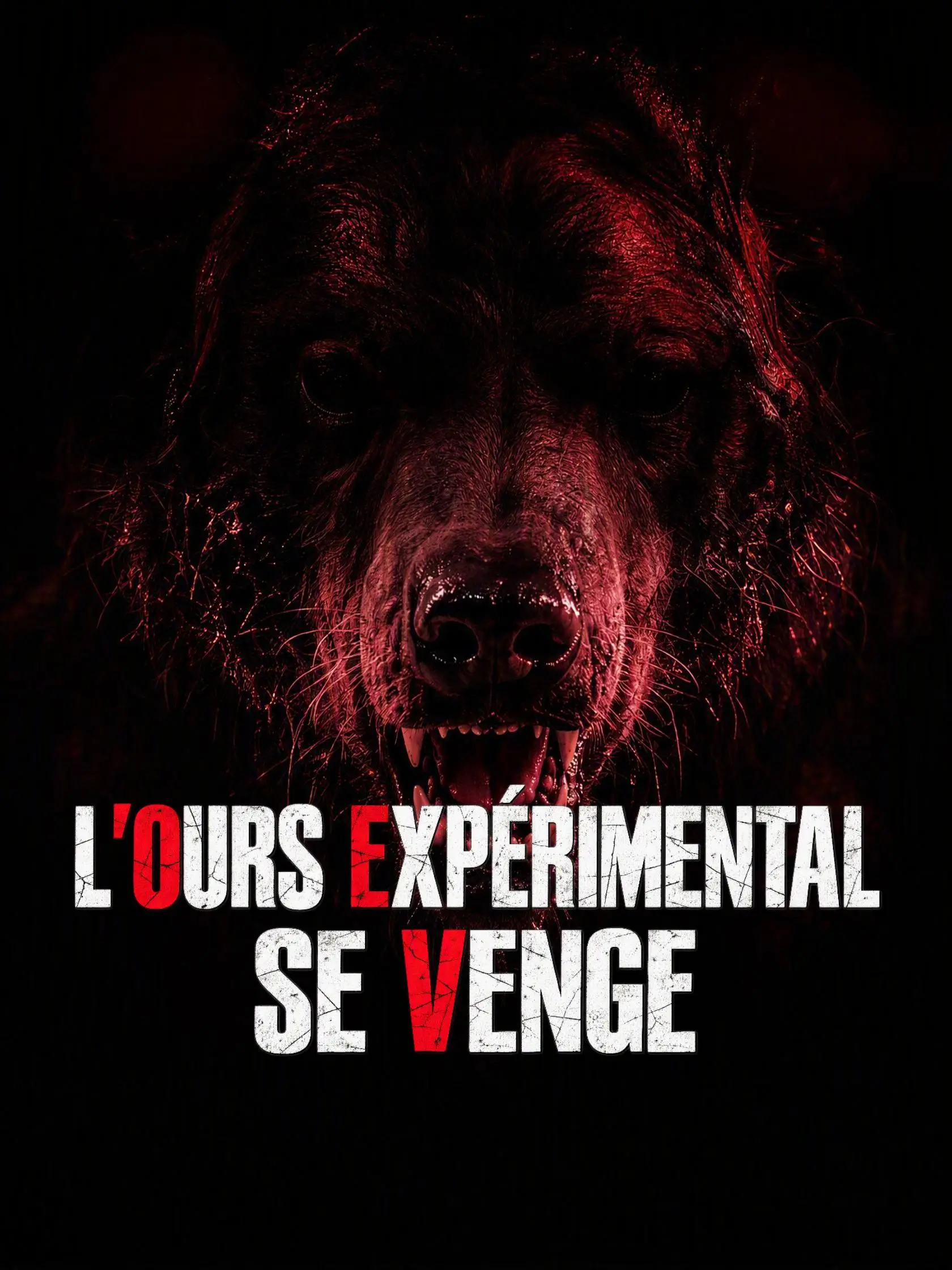 L'OURS EXPÉRIMENTAL SE VENGE