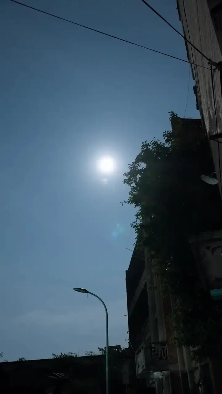“Cıvatanın” Parlayan Hayatı Bölüm 3