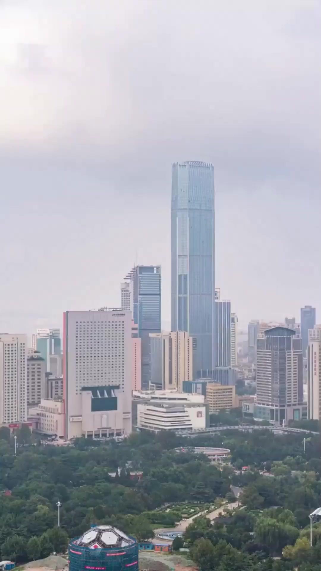 그림자 동맹