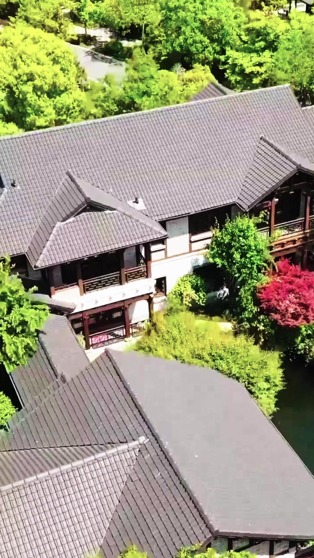 明月顧我