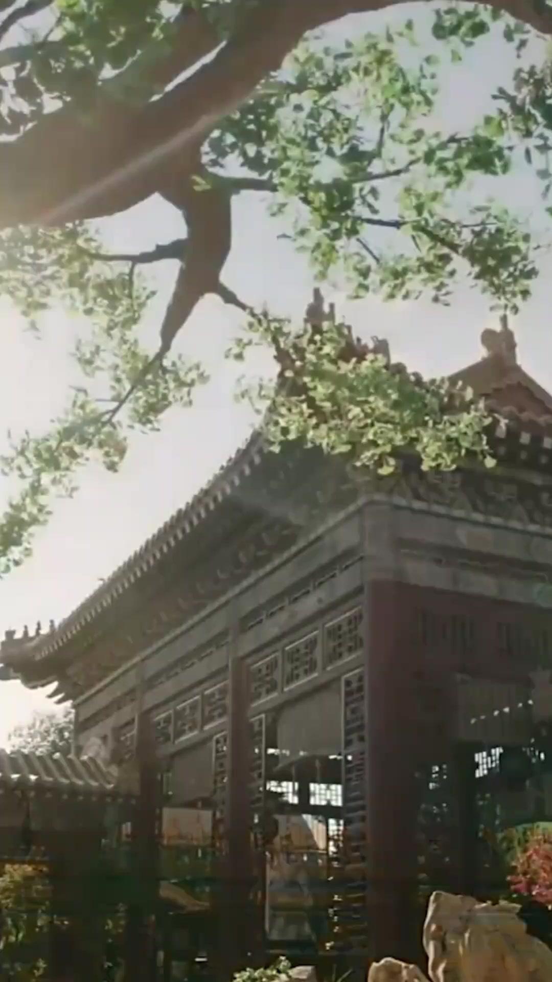 御縁談は甘え殿