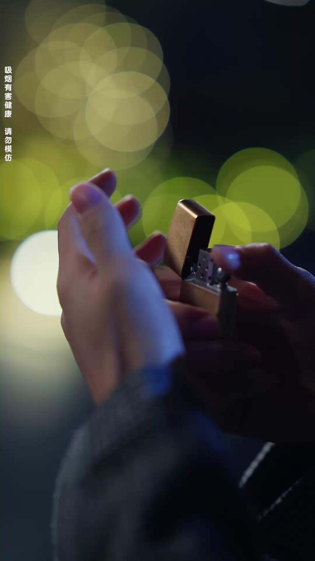 南城月光待我歸