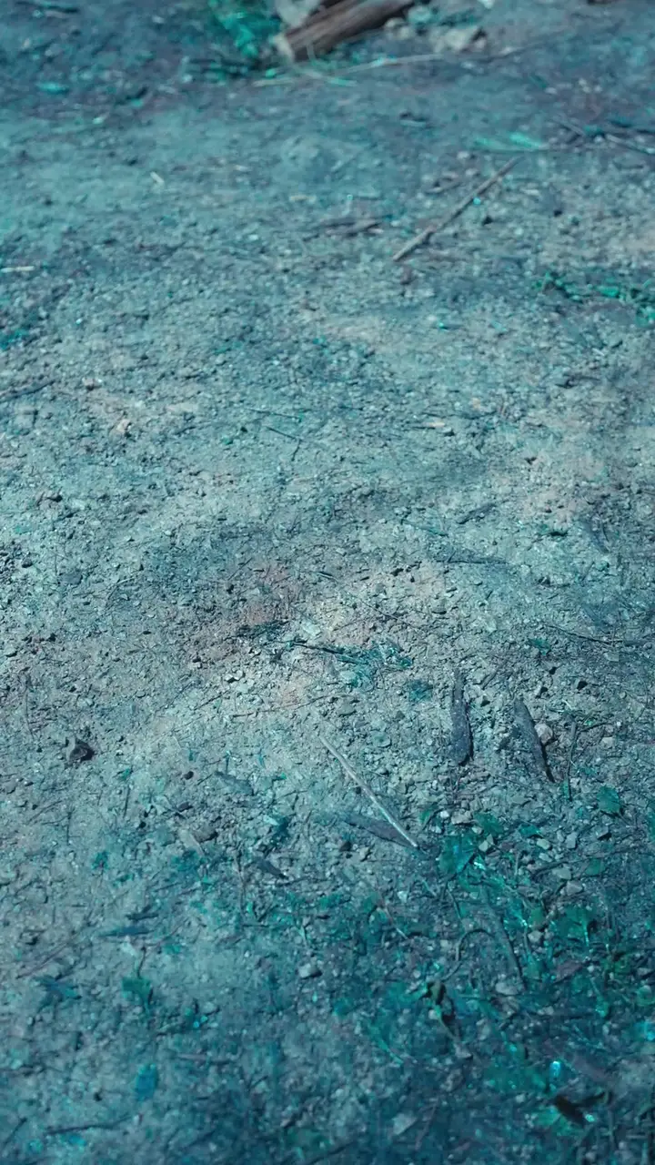 Episode 11