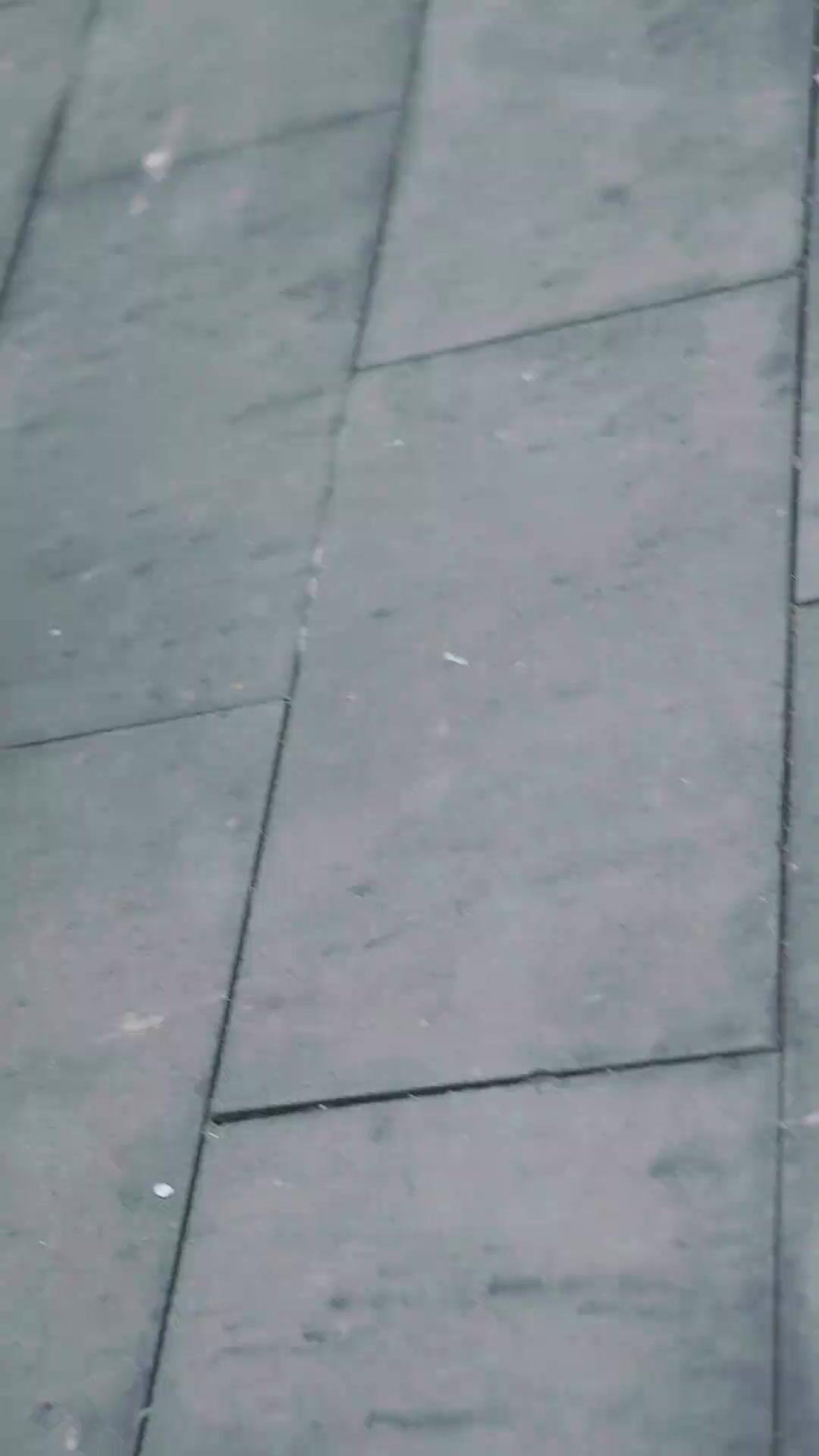 Si Ratna Jago Kungfu
