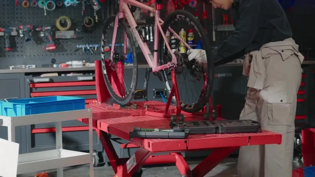 Finish Line, Dead End: The Pink Bike That Never Rode