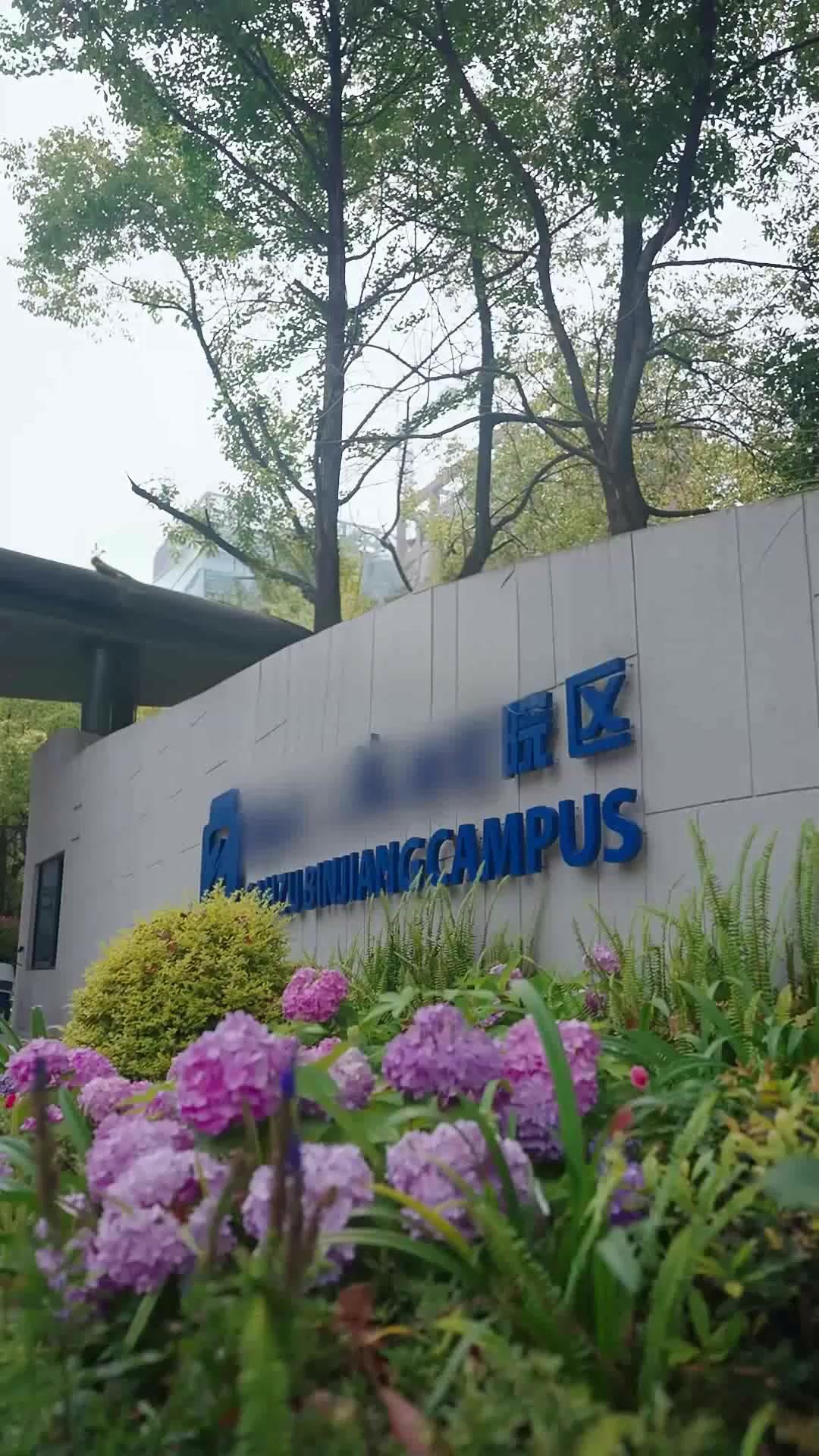 새삶의 옛사랑