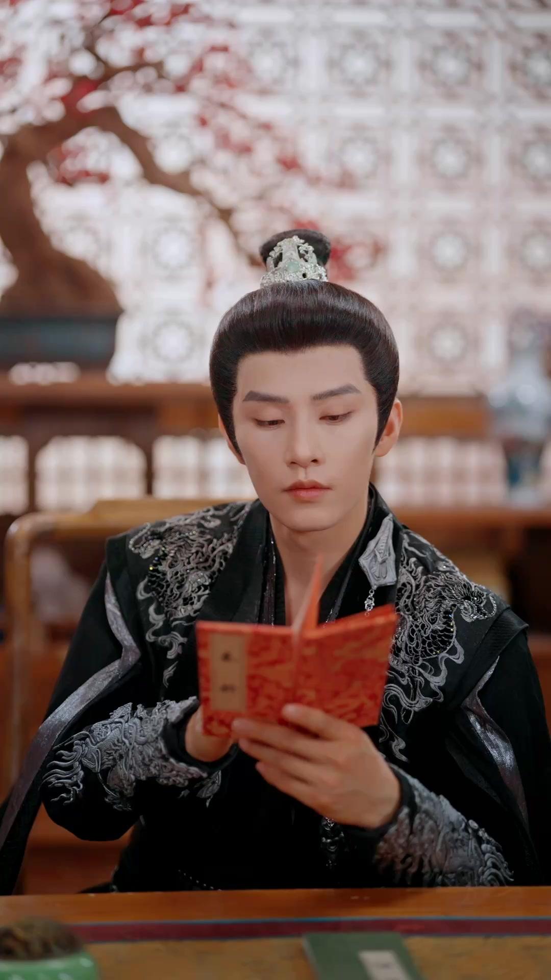 Spy Brides? We Married the Enemy Princes!