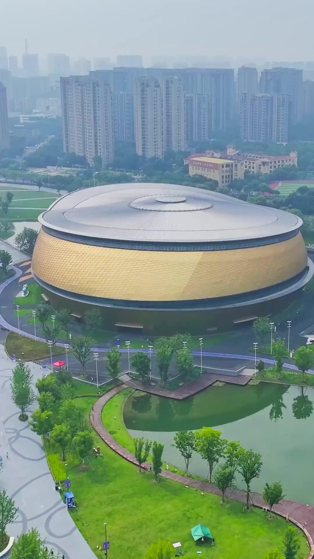 เพื่อศักดิ์ศรี ชู้ตเลย