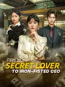 From Secret Lover to Iron-fisted CEO cover art