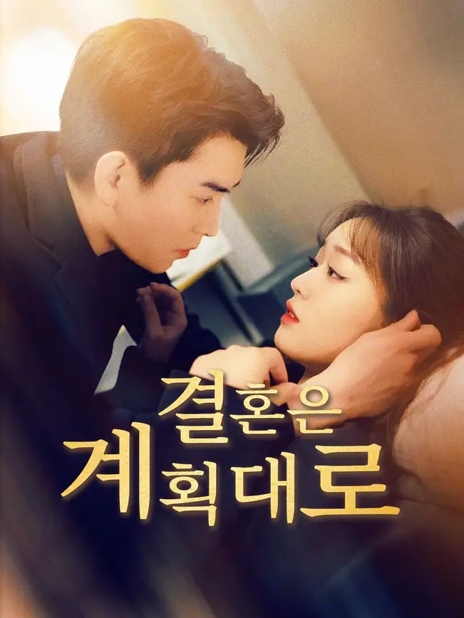 결혼은 계획대로