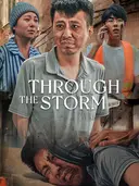 Through the Storm cover art