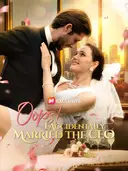 Oops! I Accidentally Married the CEO cover art