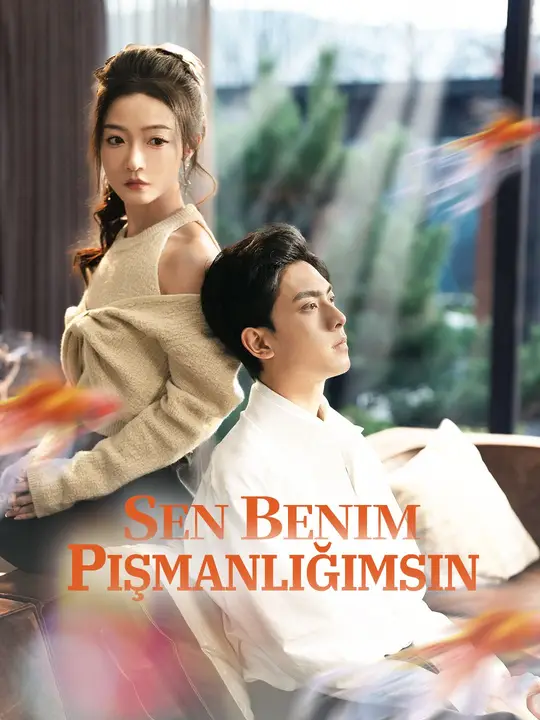 Sen benim pişmanlığımsın afişi