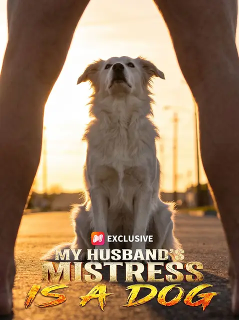 My Husband’s Mistress Is a Dog