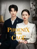 Phoenix In The Cage cover art