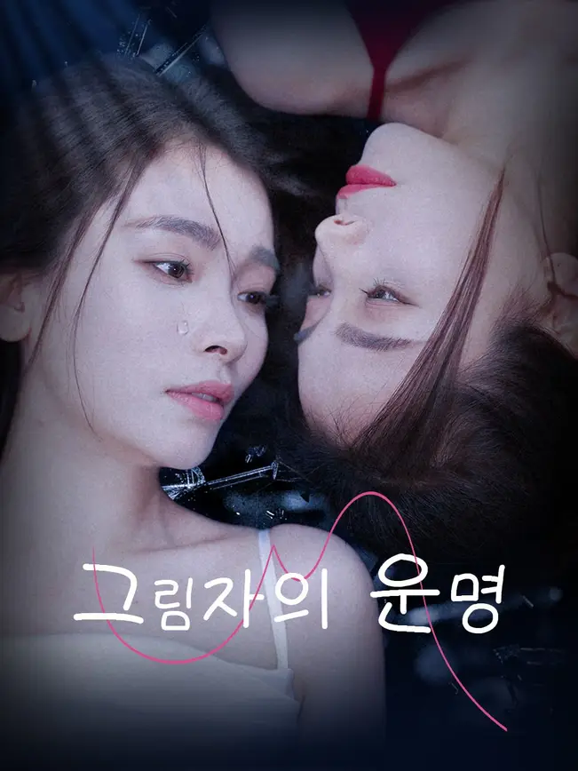 그림자의 운명