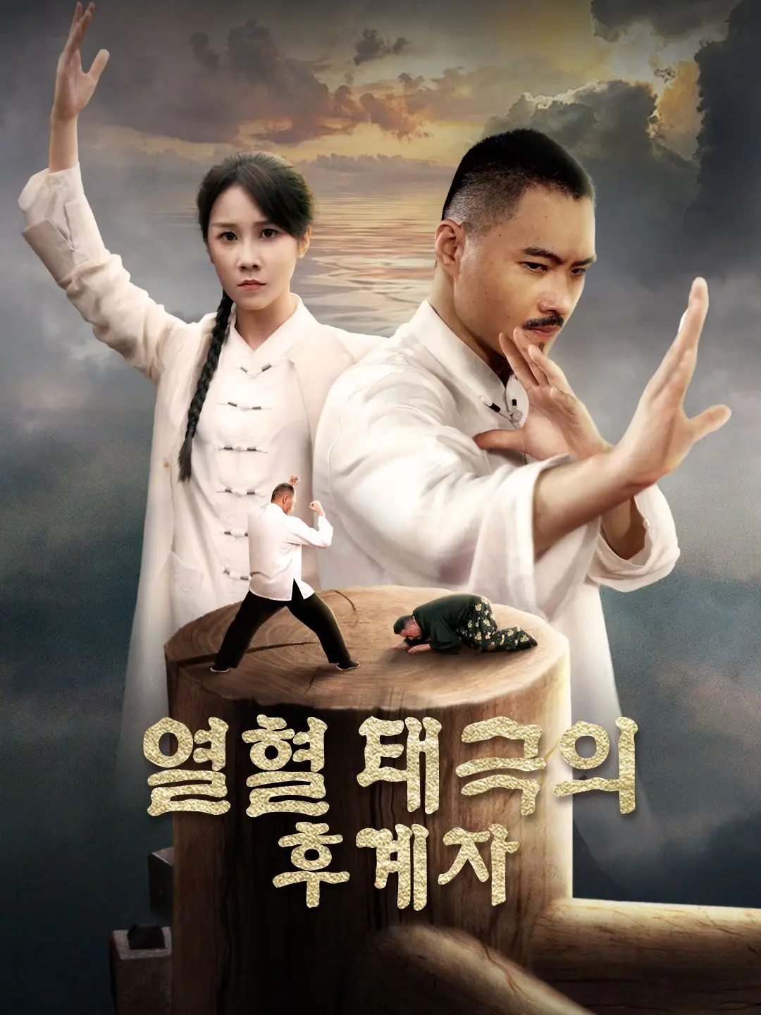 열혈 태극의 후계자